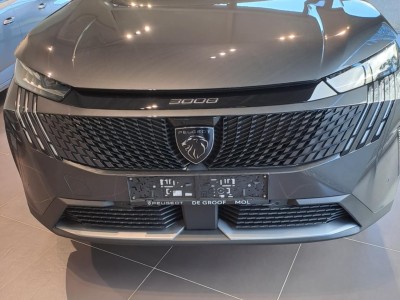 New 3008